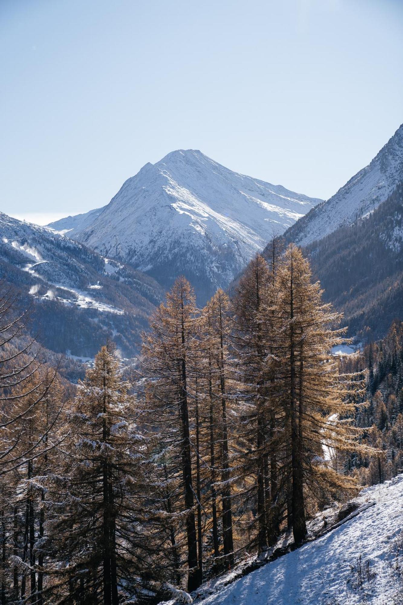 Waldhotel Fletschhorn Panoramic Retreat In Saas Fee Kültér fotó